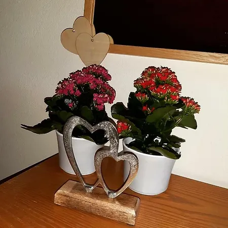 Liftstuberl Vendégház