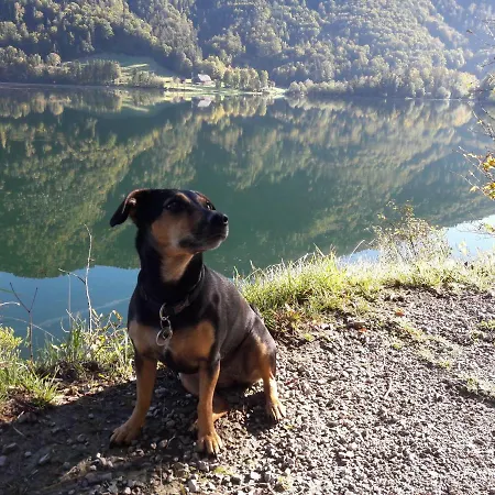 Liftstüberl * Hintersee
