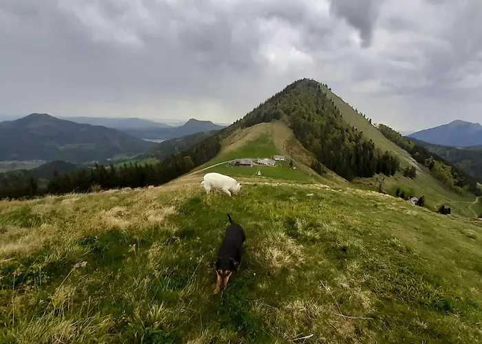 Liftstuberl Hintersee