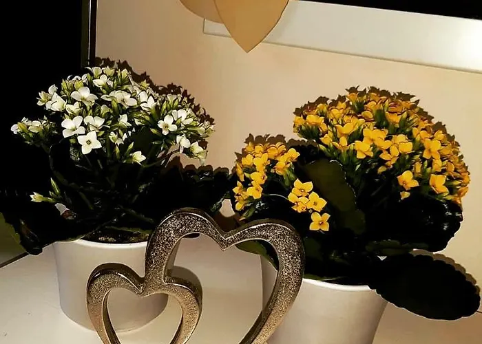 Liftstuberl Gæstehus Hintersee